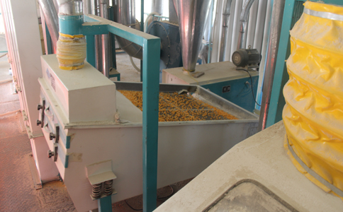 玉米加工机械对玉米进行脱胚和制糁的两个要求是什么?
